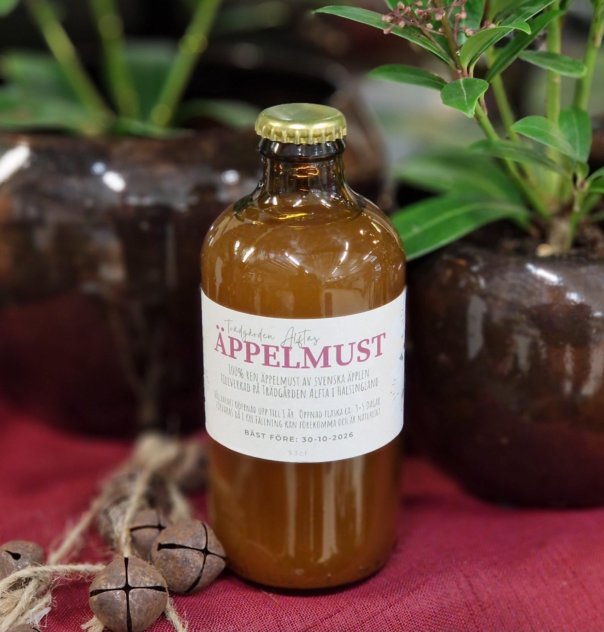 Trädgården Alftas äppelmust - 33cl