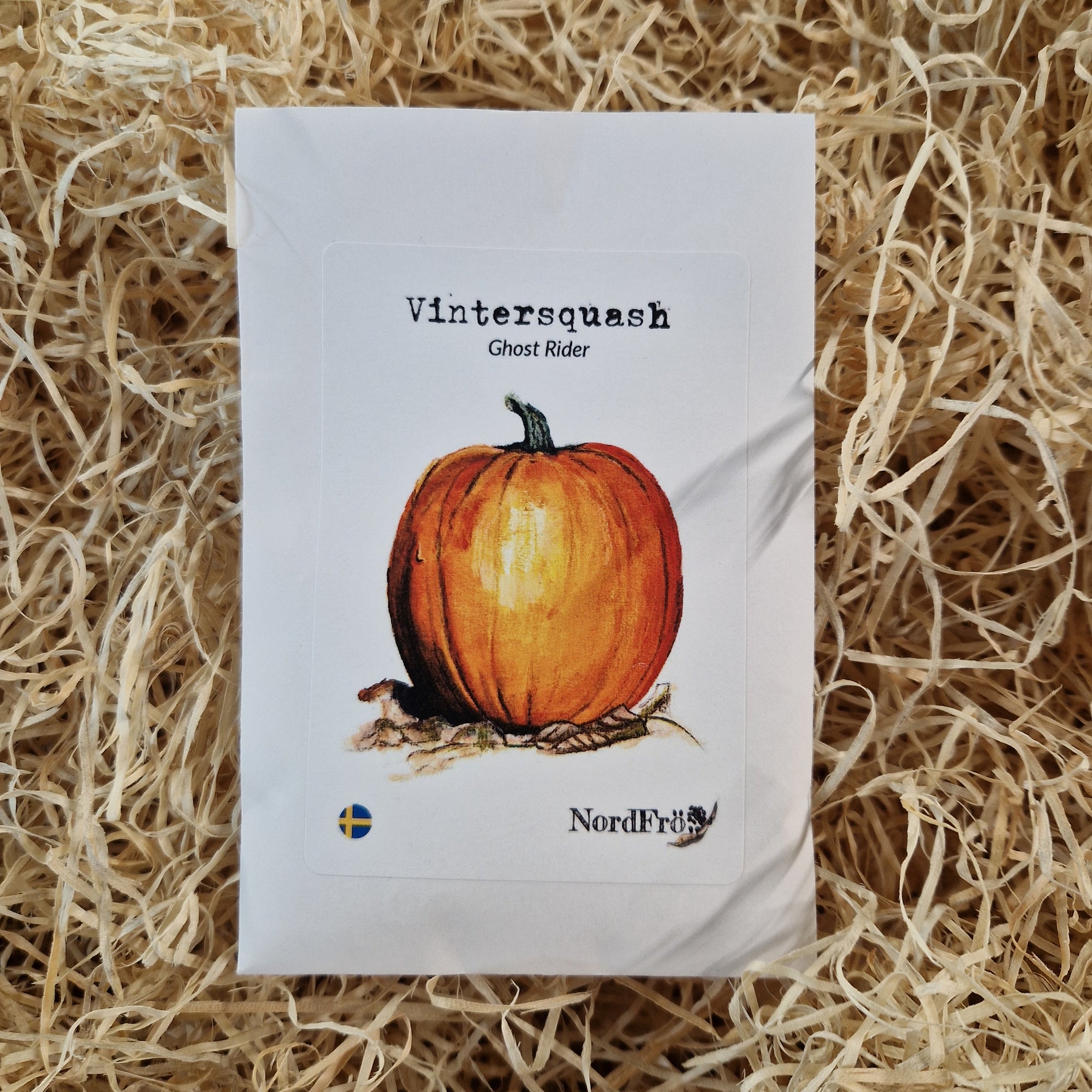 Vintersquash Ghost Rider