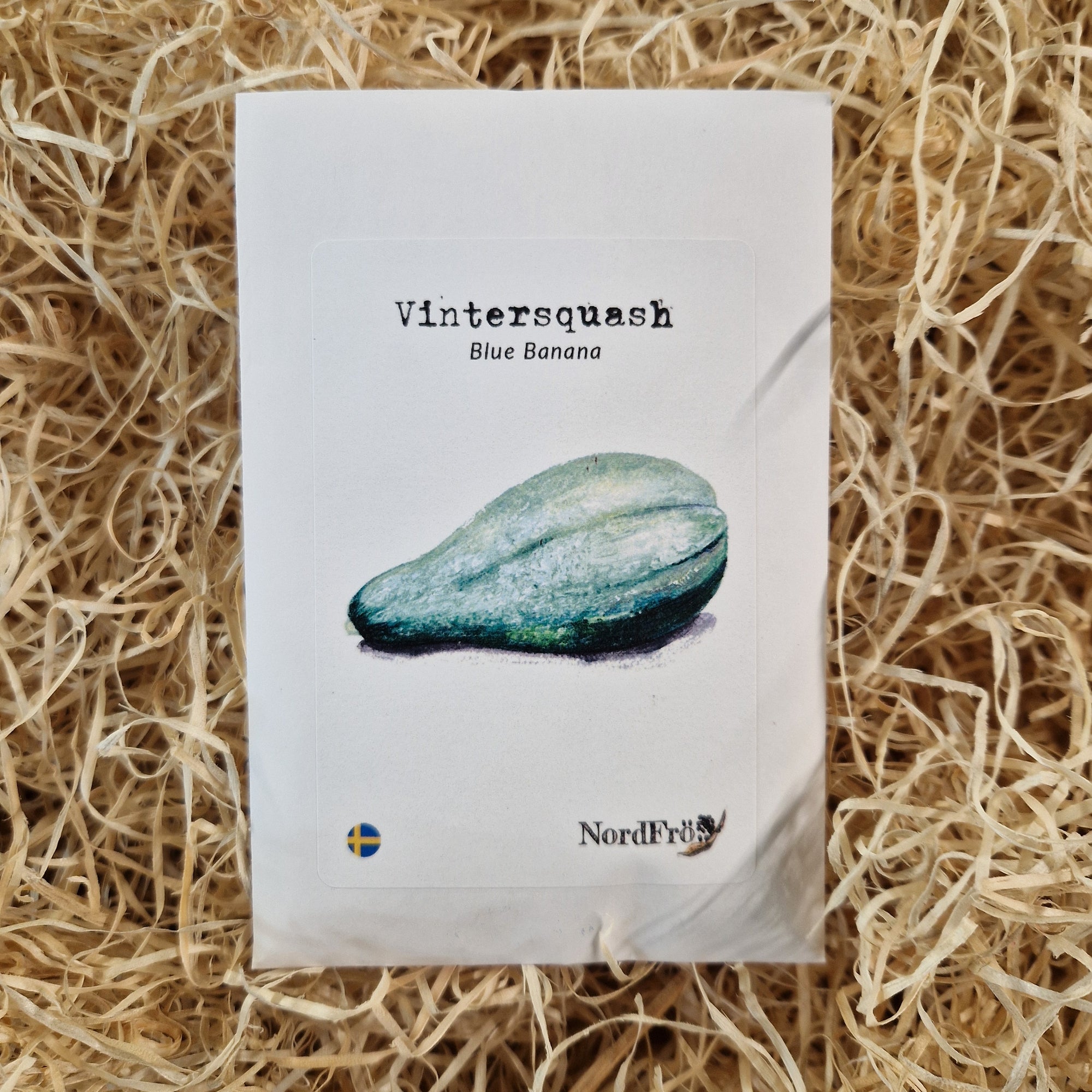 Vintersquash Blue Banana