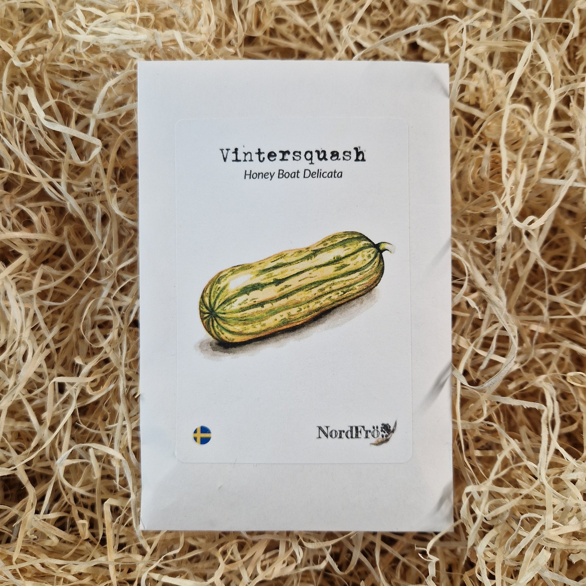 Vintersquash Honey Boat Delicata