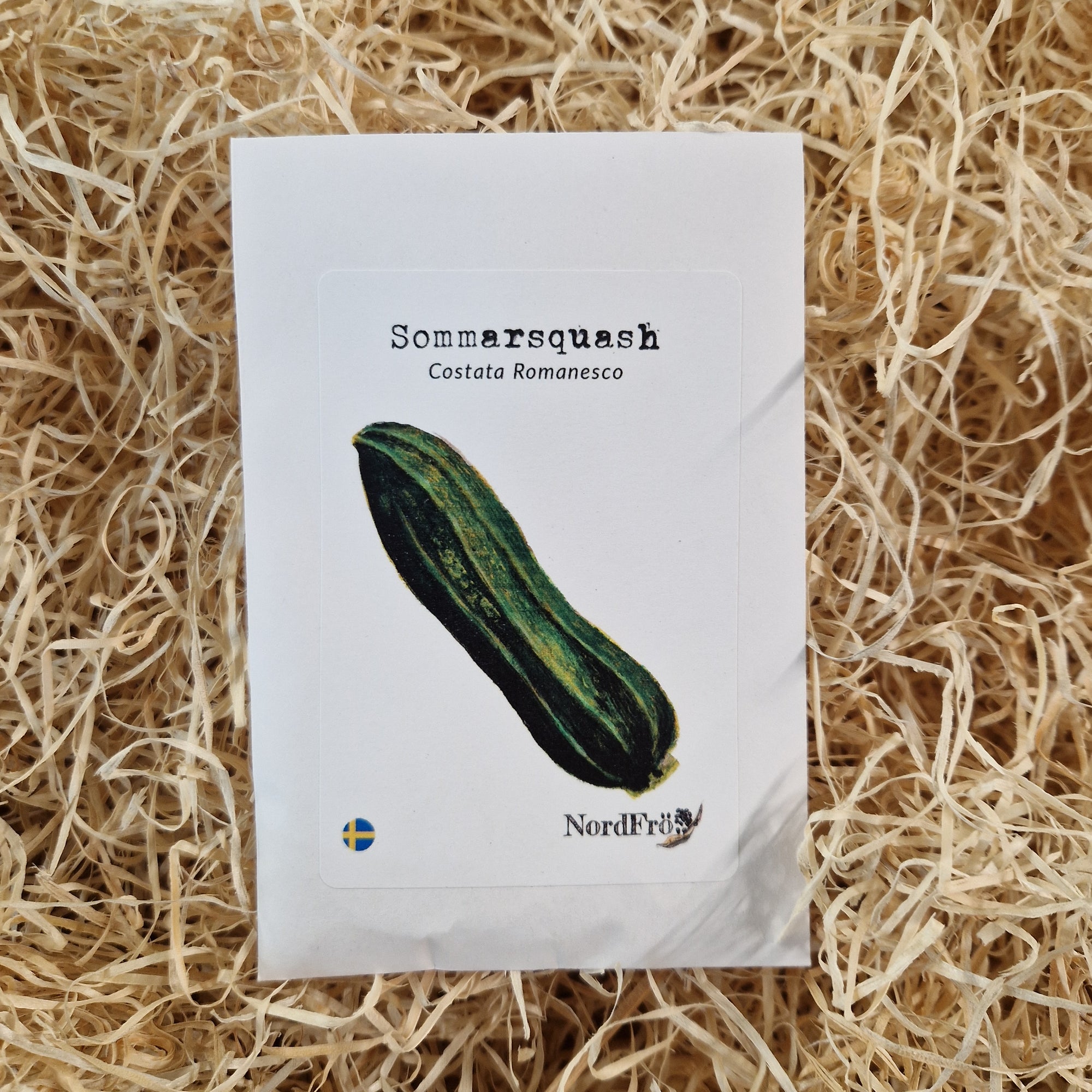 Sommarsquash Costata Romanesco