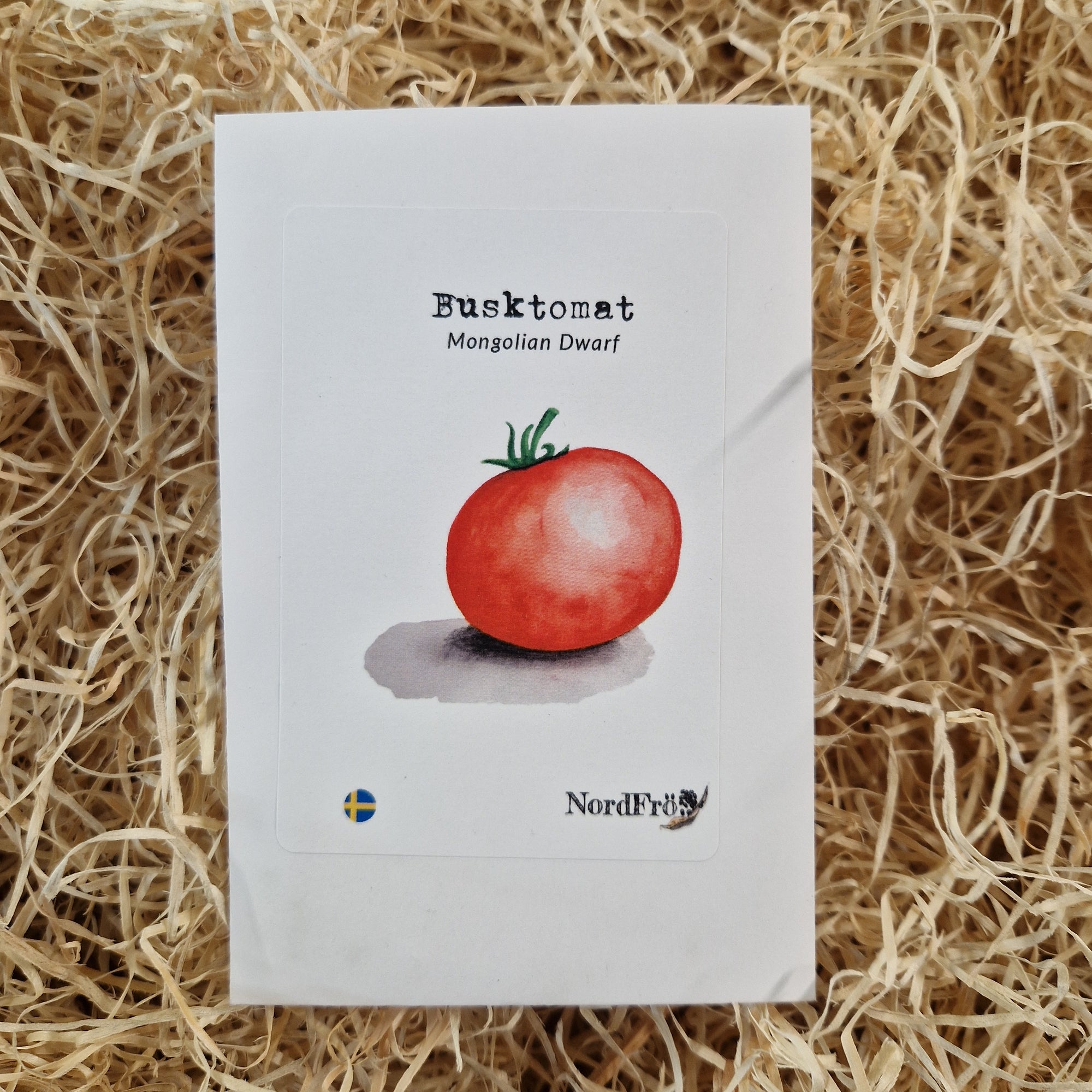 Tomat Mongolian Dwarf