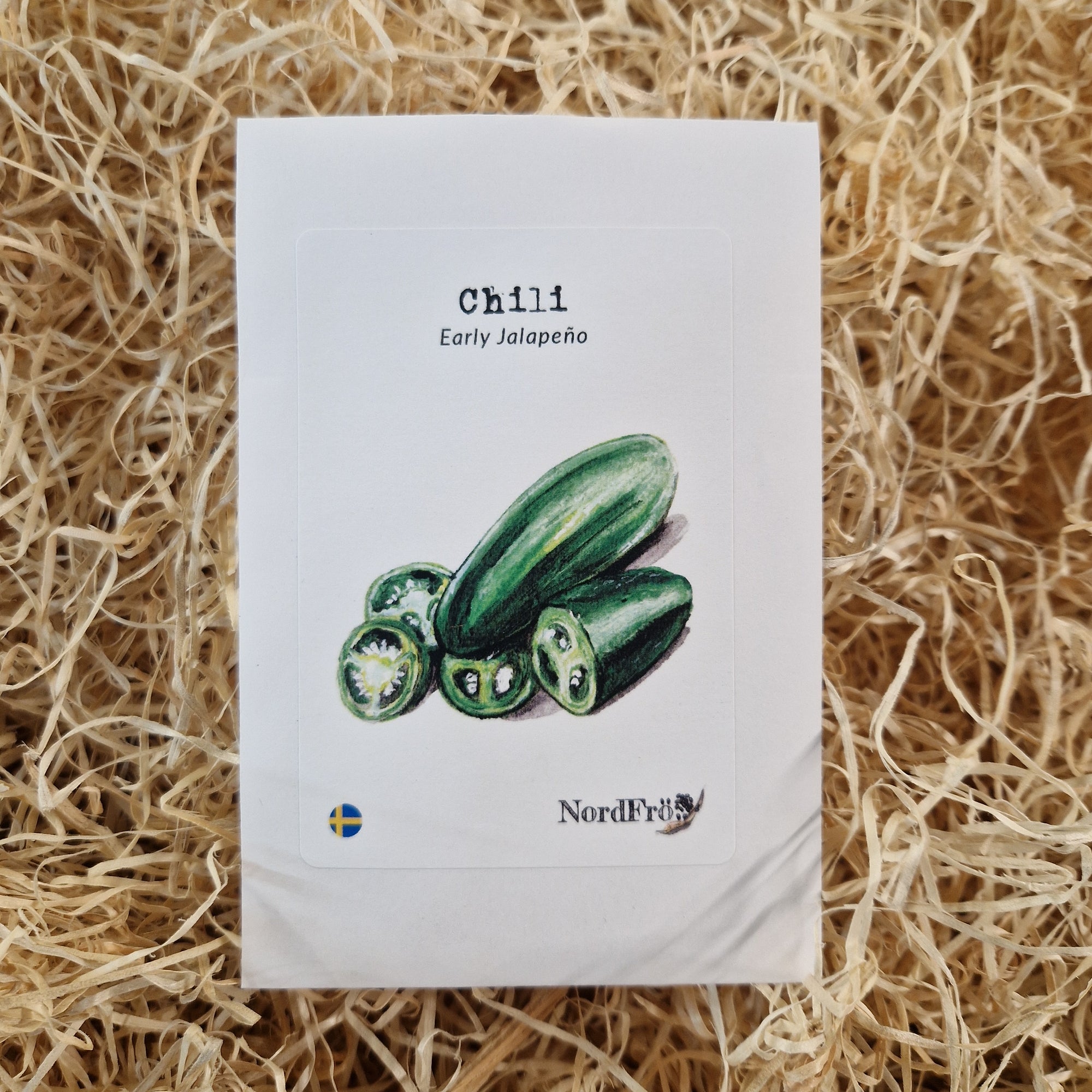 Chili Early Jalapeño