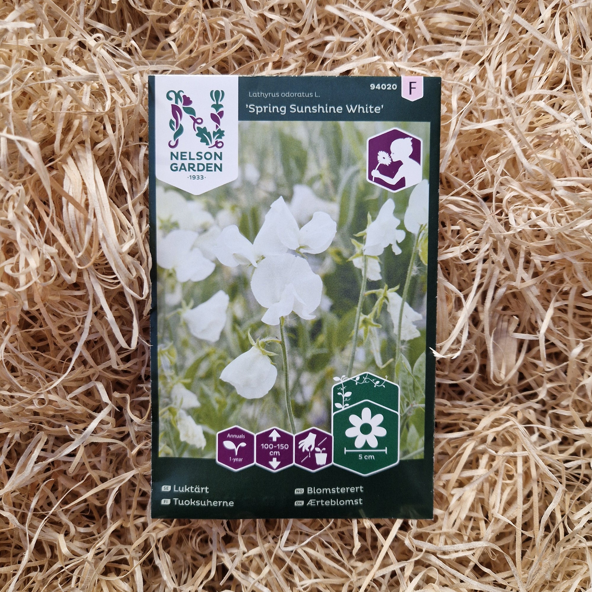 Luktärt Spring Sunshine White