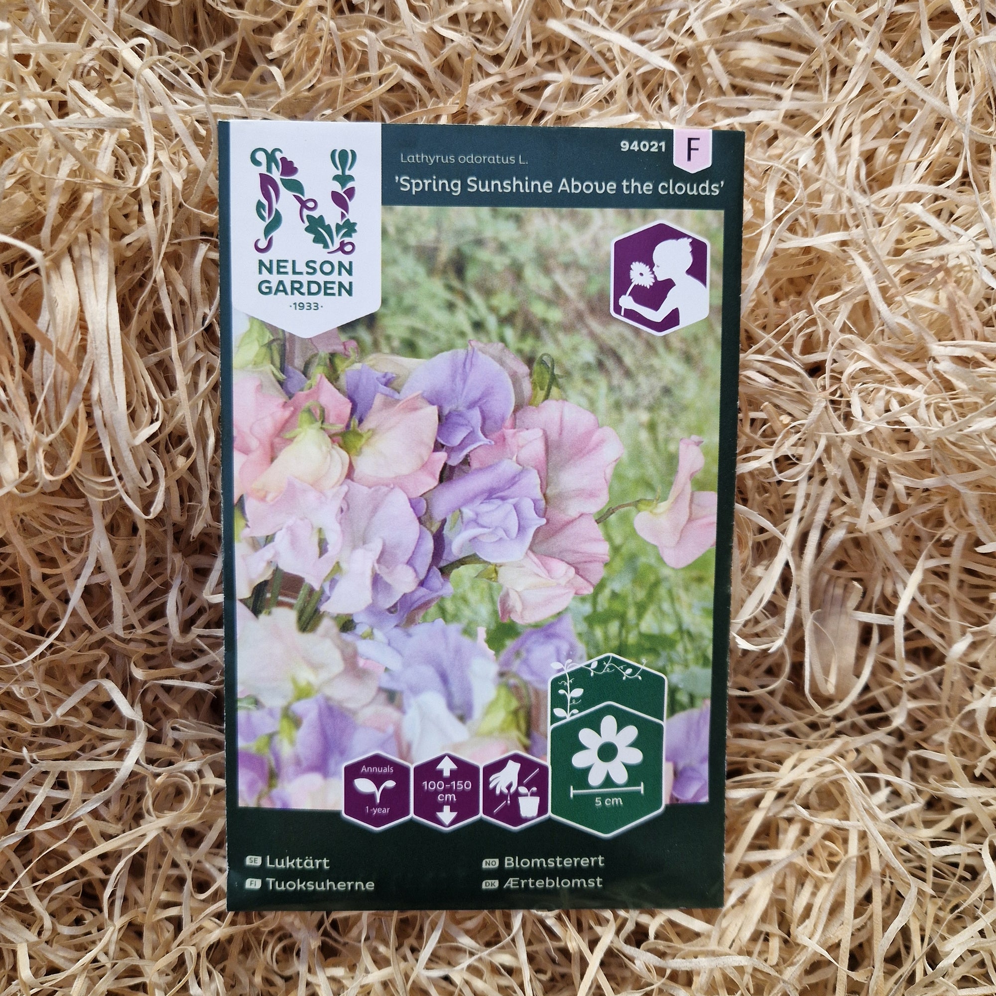 Luktärt Spring Sunshine Above the clouds