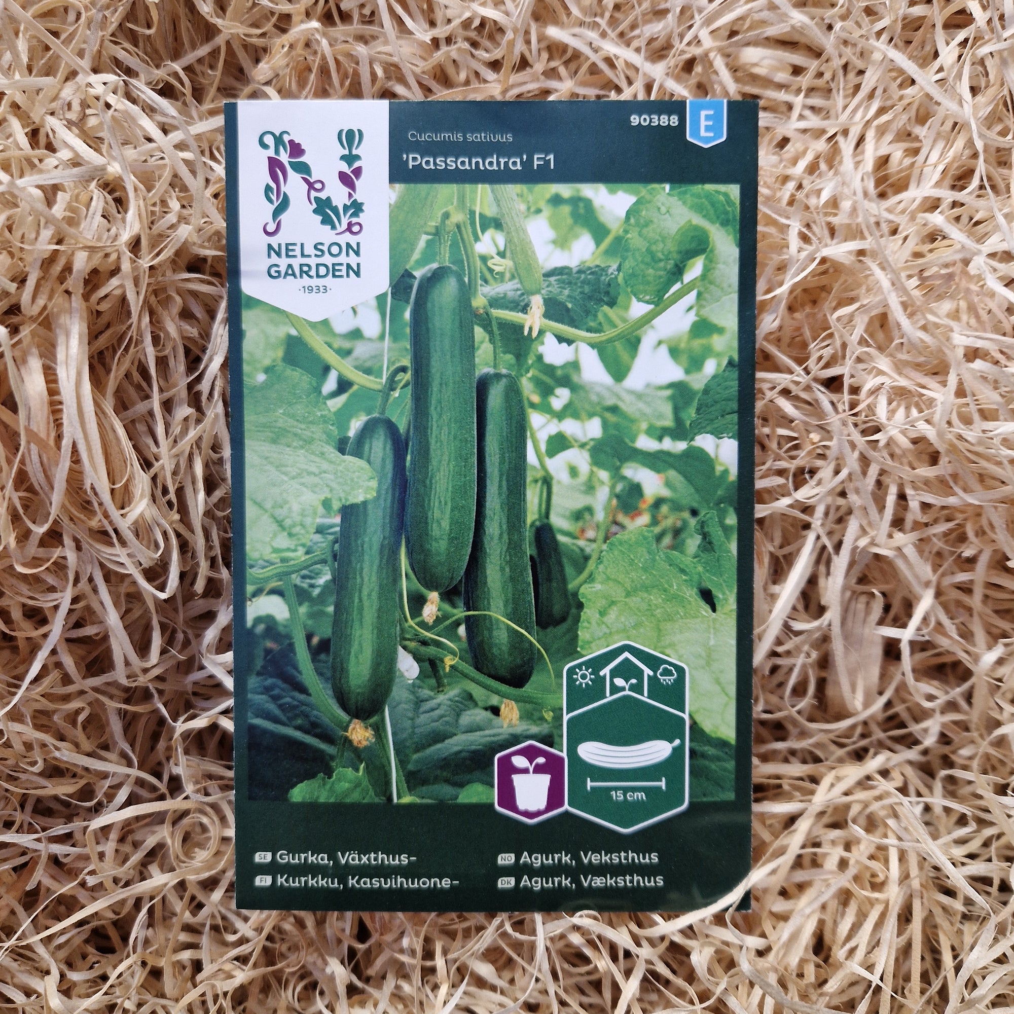 Växthusgurka Passandra