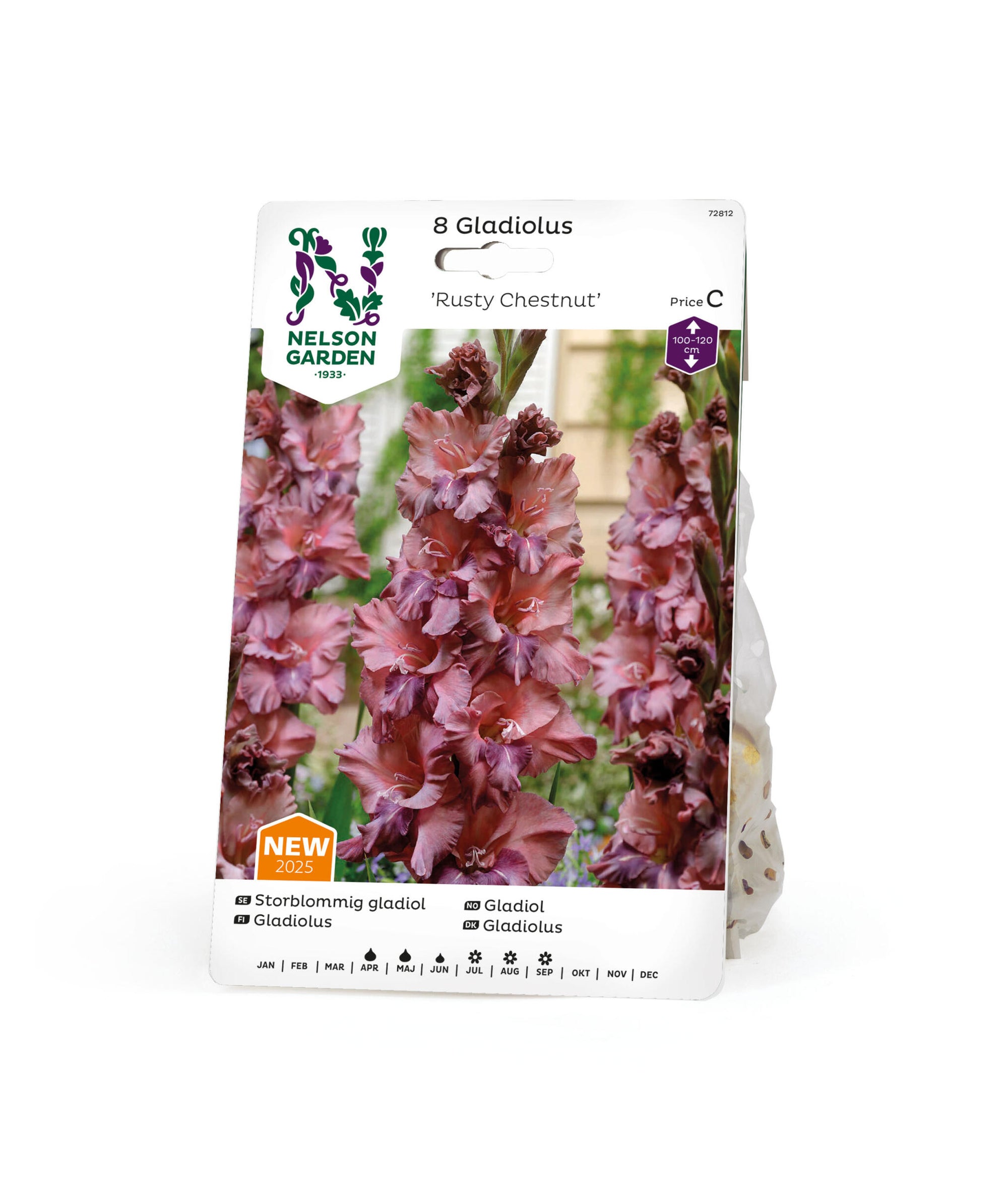 Storblommig gladiolus Rusty Chestnut